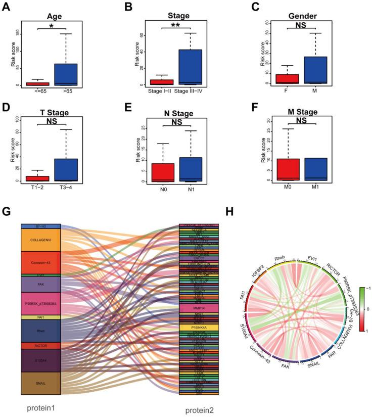 https://cdn.ncbi.nlm.nih.gov/pmc/blobs/4d74/11428938/308dfc284b1d/biomedicines-12-02066-g003.jpg