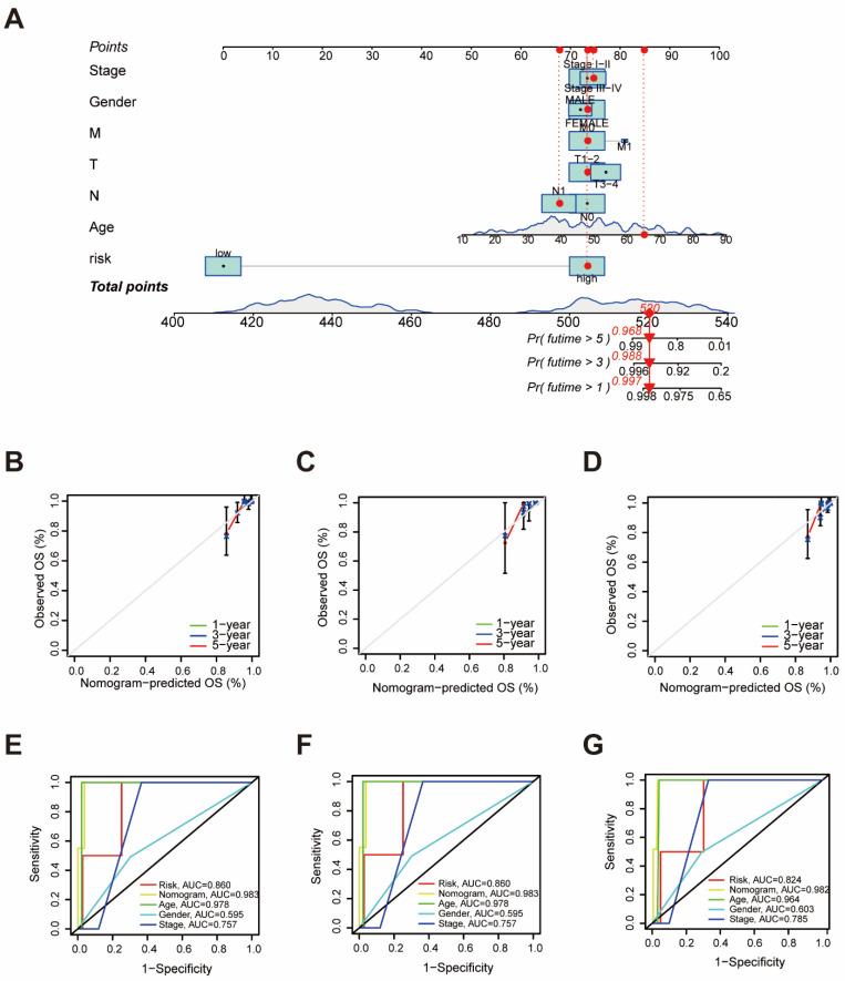 https://cdn.ncbi.nlm.nih.gov/pmc/blobs/4d74/11428938/b439704f23ad/biomedicines-12-02066-g002.jpg