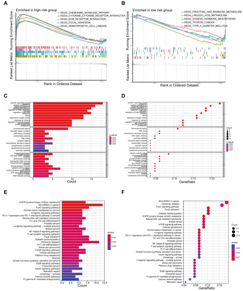 https://cdn.ncbi.nlm.nih.gov/pmc/blobs/4d74/11428938/c58ff0a52be1/biomedicines-12-02066-g004.jpg