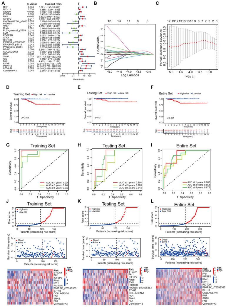 https://cdn.ncbi.nlm.nih.gov/pmc/blobs/4d74/11428938/d360aaf6cc7f/biomedicines-12-02066-g001.jpg