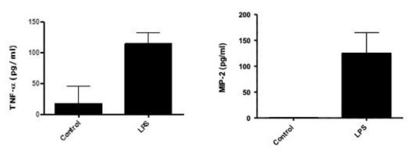 https://cdn.ncbi.nlm.nih.gov/pmc/blobs/4d75/10376962/445ed5d25847/biosensors-13-00676-g001.jpg