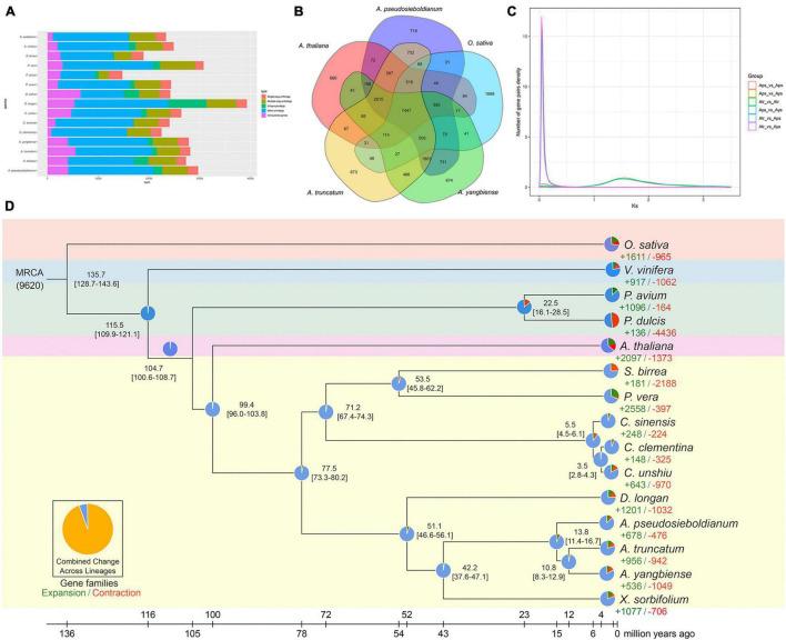 https://cdn.ncbi.nlm.nih.gov/pmc/blobs/4d76/8927880/9b9c5f8a53b8/fpls-13-850054-g003.jpg