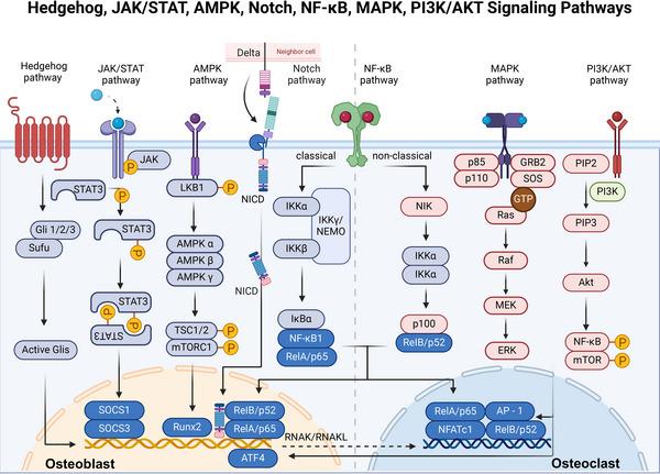 https://cdn.ncbi.nlm.nih.gov/pmc/blobs/4d7a/11266958/90c88cb4c337/MCO2-5-e657-g007.jpg
