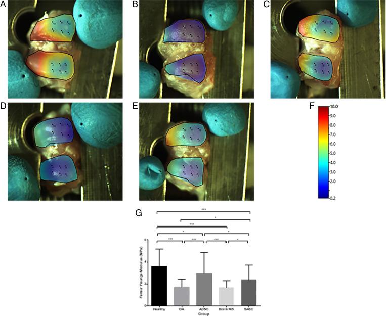 https://cdn.ncbi.nlm.nih.gov/pmc/blobs/4d7d/8764679/3ae61b93fb9d/pnas.2116865118fig08.jpg
