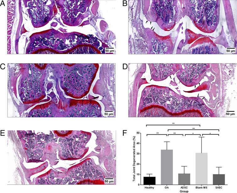 https://cdn.ncbi.nlm.nih.gov/pmc/blobs/4d7d/8764679/d67366ca28d6/pnas.2116865118fig06.jpg