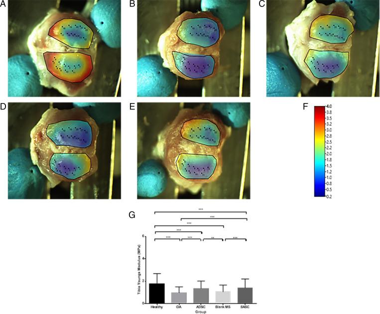 https://cdn.ncbi.nlm.nih.gov/pmc/blobs/4d7d/8764679/f378ec5c7456/pnas.2116865118fig07.jpg