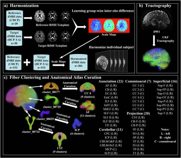 https://cdn.ncbi.nlm.nih.gov/pmc/blobs/4d81/11255335/549e7d58b43e/41597_2024_3624_Fig1_HTML.jpg