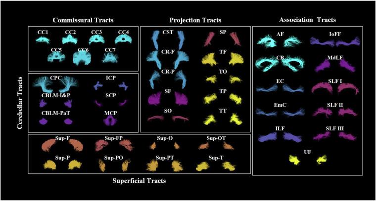 https://cdn.ncbi.nlm.nih.gov/pmc/blobs/4d81/11255335/822ddd413088/41597_2024_3624_Fig3_HTML.jpg