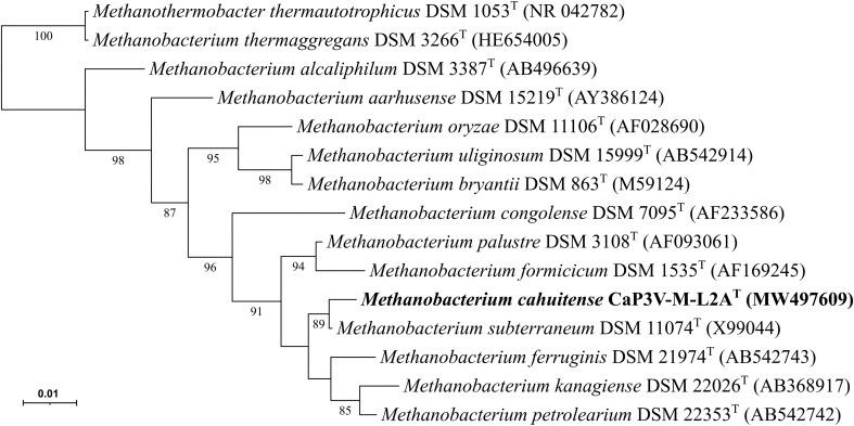 https://cdn.ncbi.nlm.nih.gov/pmc/blobs/4d83/10102059/0c022b5ee3c0/203_2023_3533_Fig1_HTML.jpg