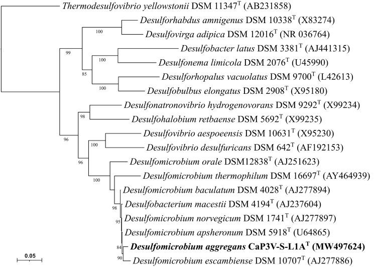 https://cdn.ncbi.nlm.nih.gov/pmc/blobs/4d83/10102059/5c89f09ba2b3/203_2023_3533_Fig3_HTML.jpg