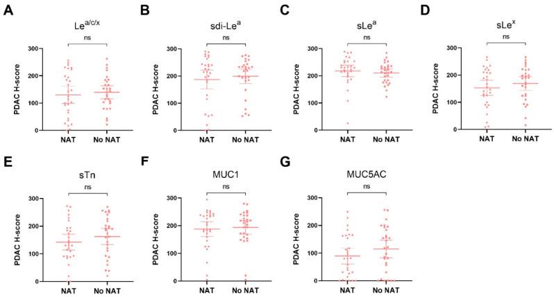 https://cdn.ncbi.nlm.nih.gov/pmc/blobs/4d83/8616289/251b285e9118/cancers-13-05777-g003.jpg