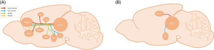 https://cdn.ncbi.nlm.nih.gov/pmc/blobs/4d84/9744572/5aaabb3ade83/GBB-21-e12826-g002.jpg
