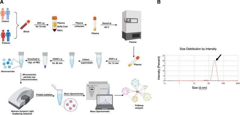 https://cdn.ncbi.nlm.nih.gov/pmc/blobs/4d85/12084025/a6cdafe4d6be/hhf-18-e012136-g002.jpg