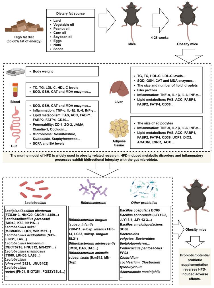 https://cdn.ncbi.nlm.nih.gov/pmc/blobs/4d86/12073166/c1fc62af758b/nutrients-17-01402-g001.jpg