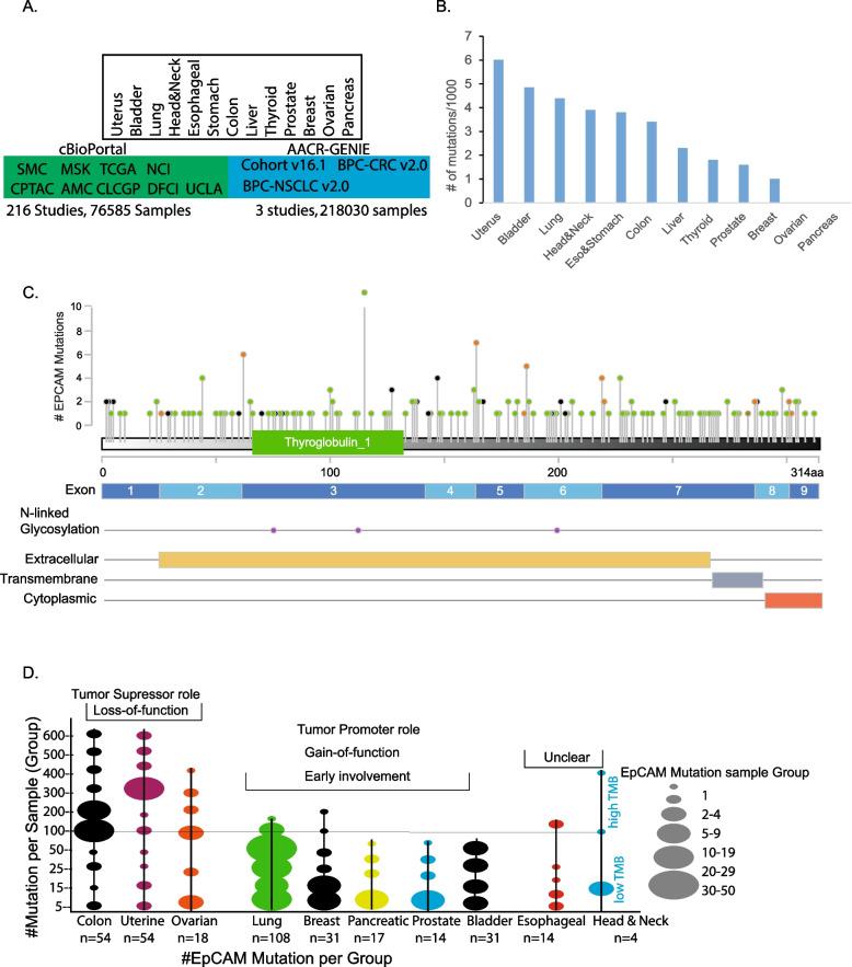 https://cdn.ncbi.nlm.nih.gov/pmc/blobs/4d87/12211971/70a70be0a5de/12885_2025_14455_Fig2_HTML.jpg