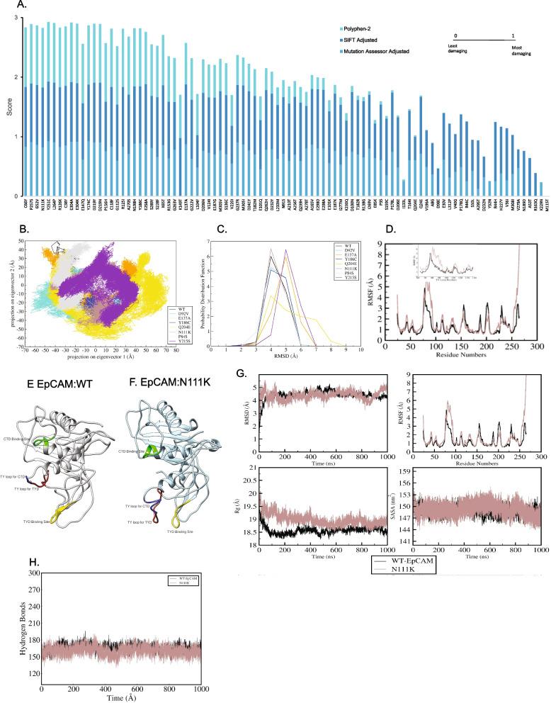 https://cdn.ncbi.nlm.nih.gov/pmc/blobs/4d87/12211971/726201bbb58d/12885_2025_14455_Fig4_HTML.jpg