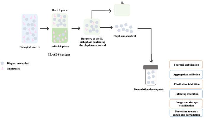 https://cdn.ncbi.nlm.nih.gov/pmc/blobs/4d87/9941158/1896f15efbf7/fbioe-11-1037436-g007.jpg