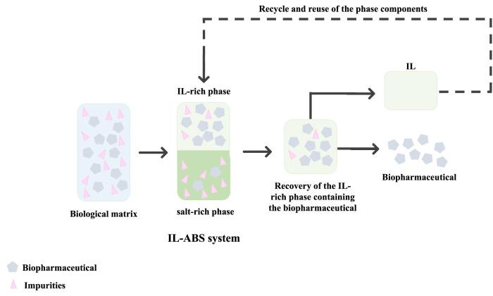 https://cdn.ncbi.nlm.nih.gov/pmc/blobs/4d87/9941158/db8eeae2b7d3/fbioe-11-1037436-g005.jpg