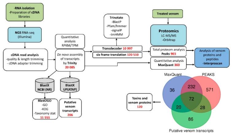 https://cdn.ncbi.nlm.nih.gov/pmc/blobs/4d88/7460416/69d180bc1c2a/biomedicines-08-00249-g001.jpg