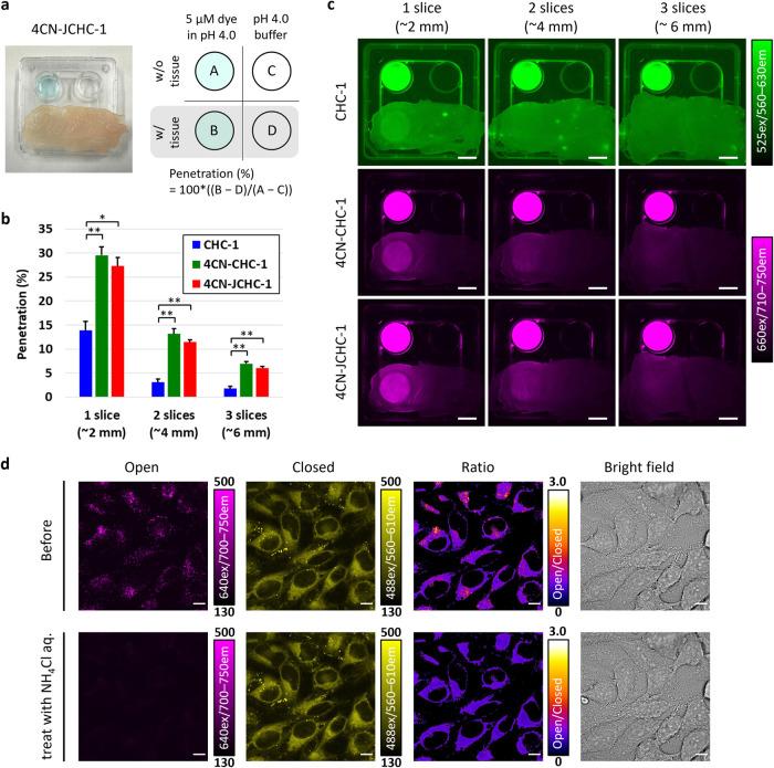 https://cdn.ncbi.nlm.nih.gov/pmc/blobs/4d89/12368833/4e5a8211b109/ac5c02714_0002.jpg