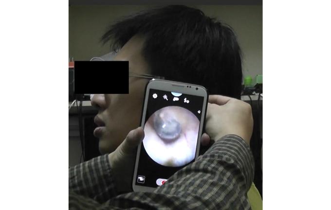 https://cdn.ncbi.nlm.nih.gov/pmc/blobs/4d89/3961810/32995cf5d9cc/jmir_v16i3e71_fig4.jpg