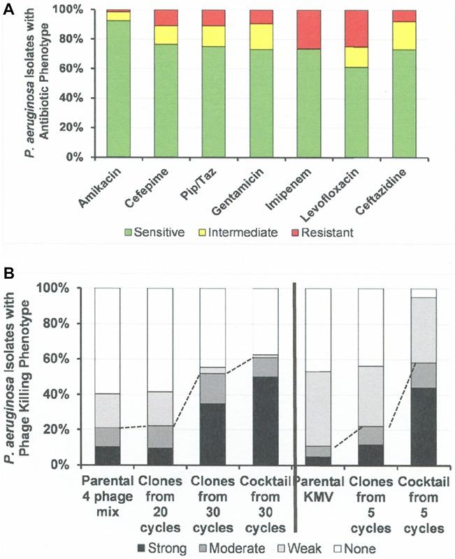 https://cdn.ncbi.nlm.nih.gov/pmc/blobs/4d8a/6861333/6028f7c05784/fmicb-10-02537-g006.jpg