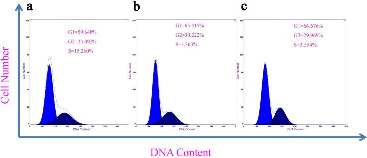 https://cdn.ncbi.nlm.nih.gov/pmc/blobs/4d8c/5820924/048831e767d1/jcav09p0564g004.jpg