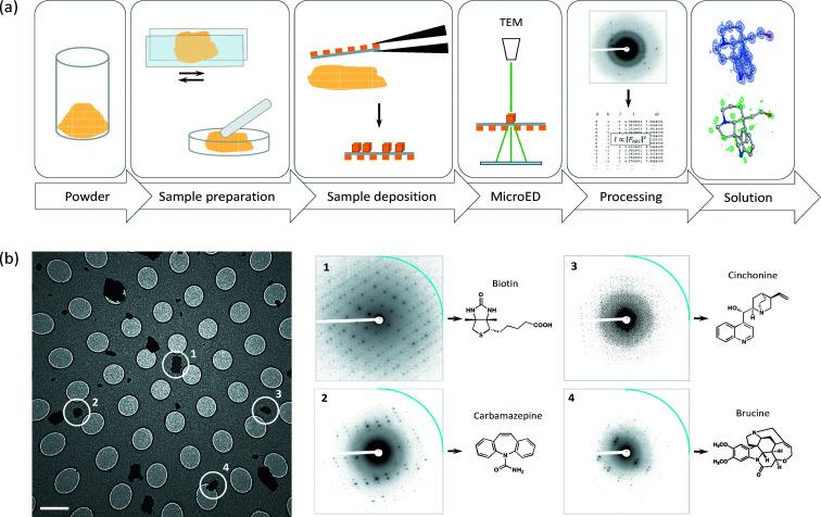 https://cdn.ncbi.nlm.nih.gov/pmc/blobs/4d8c/8895021/2eca02b6104c/m-09-00169-fig4.jpg
