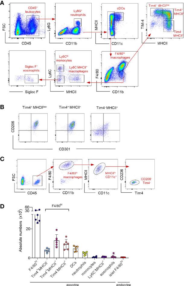 https://cdn.ncbi.nlm.nih.gov/pmc/blobs/4d8c/9326506/20f682eb0975/fendo-13-858422-g001.jpg