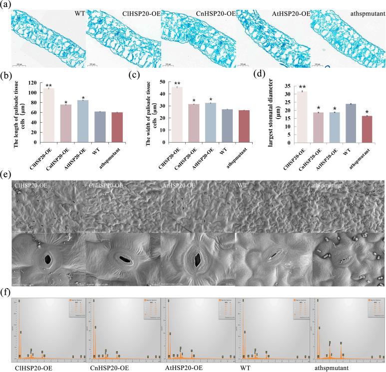 https://cdn.ncbi.nlm.nih.gov/pmc/blobs/4d8e/10759694/0fbe65ea5927/12870_2023_4686_Fig2_HTML.jpg