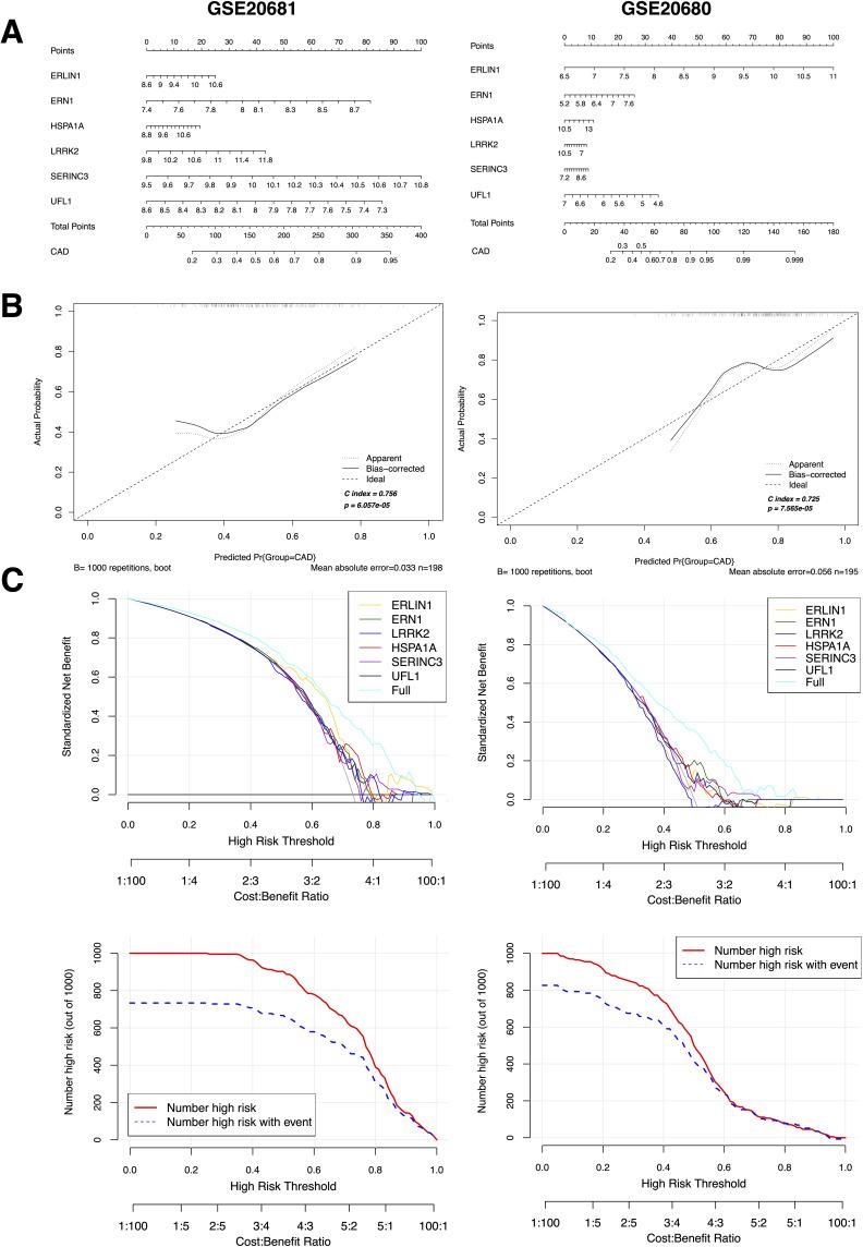 https://cdn.ncbi.nlm.nih.gov/pmc/blobs/4d8e/11627109/18c7cd2decae/JIR-17-10495-g0007.jpg
