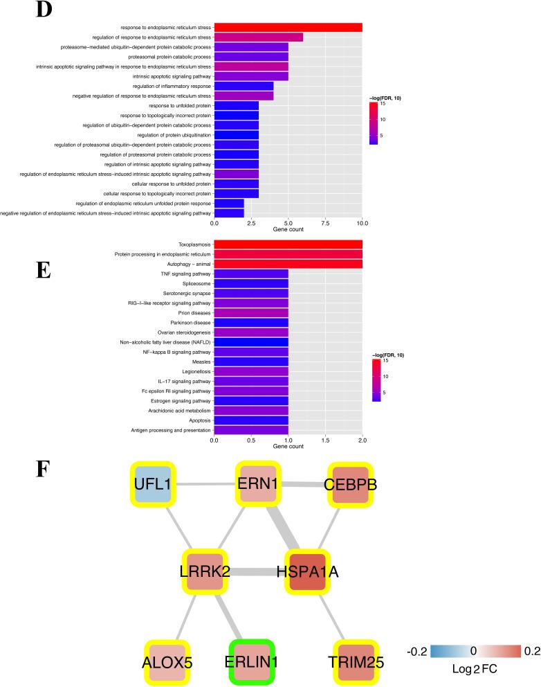 https://cdn.ncbi.nlm.nih.gov/pmc/blobs/4d8e/11627109/bb51646afcf2/JIR-17-10495-g0003.jpg