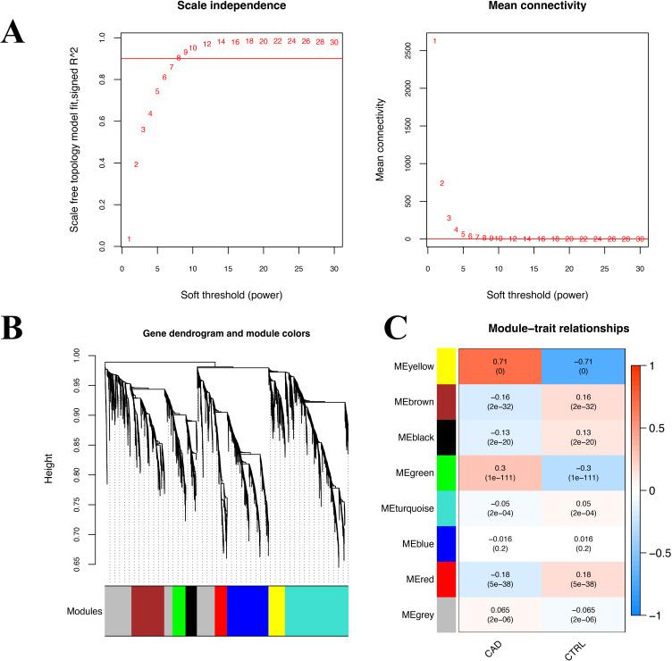 https://cdn.ncbi.nlm.nih.gov/pmc/blobs/4d8e/11627109/cba30002717a/JIR-17-10495-g0002.jpg