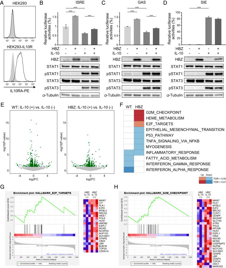 https://cdn.ncbi.nlm.nih.gov/pmc/blobs/4d8e/7306771/669cc4aa36df/pnas.1922884117fig05.jpg