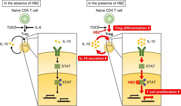 https://cdn.ncbi.nlm.nih.gov/pmc/blobs/4d8e/7306771/68c3f684f22e/pnas.1922884117fig06.jpg