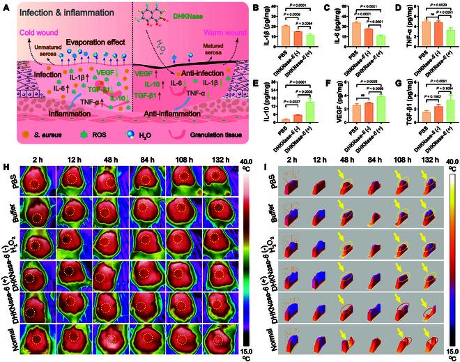 https://cdn.ncbi.nlm.nih.gov/pmc/blobs/4d90/11381673/b719329dc6f9/research.0464.fig.004.jpg
