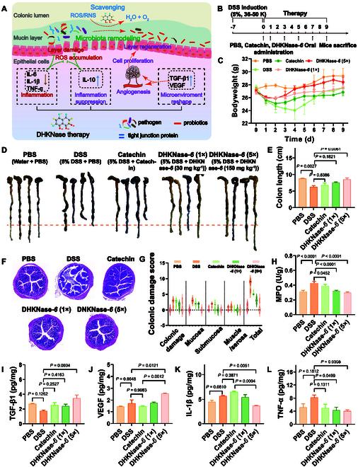 https://cdn.ncbi.nlm.nih.gov/pmc/blobs/4d90/11381673/e0ca595efd9c/research.0464.fig.005.jpg