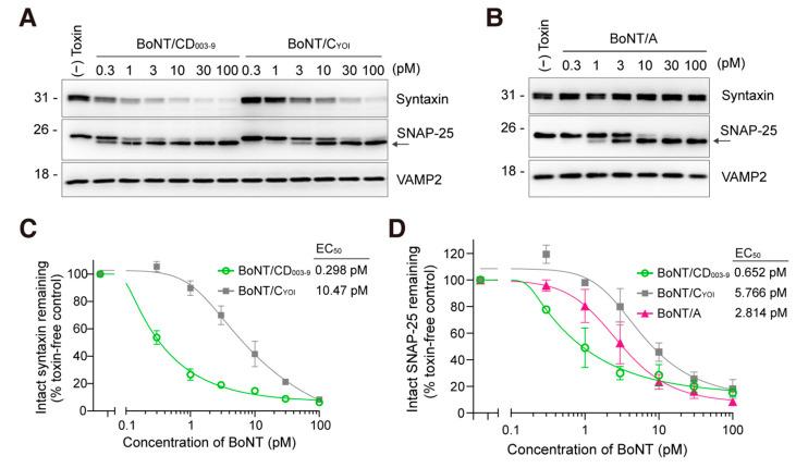 https://cdn.ncbi.nlm.nih.gov/pmc/blobs/4d90/9962336/0f05cd080357/toxins-15-00123-g002.jpg