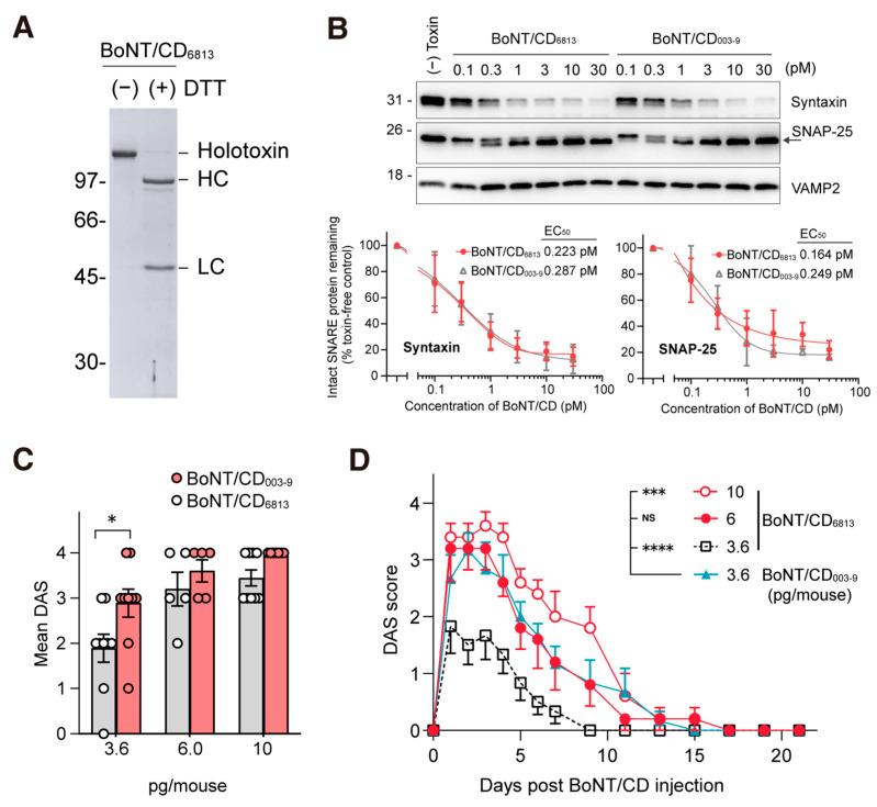 https://cdn.ncbi.nlm.nih.gov/pmc/blobs/4d90/9962336/d94ac8169e77/toxins-15-00123-g006.jpg