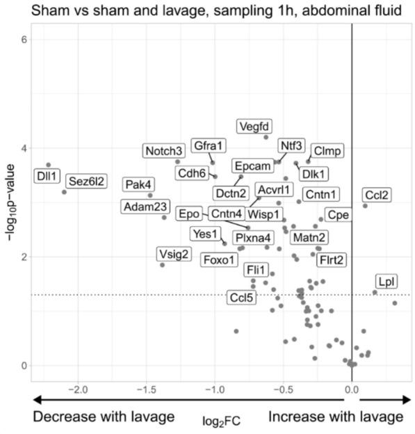 https://cdn.ncbi.nlm.nih.gov/pmc/blobs/4d91/11917159/d8c98f256a8c/40001_2025_2445_Fig5_HTML.jpg