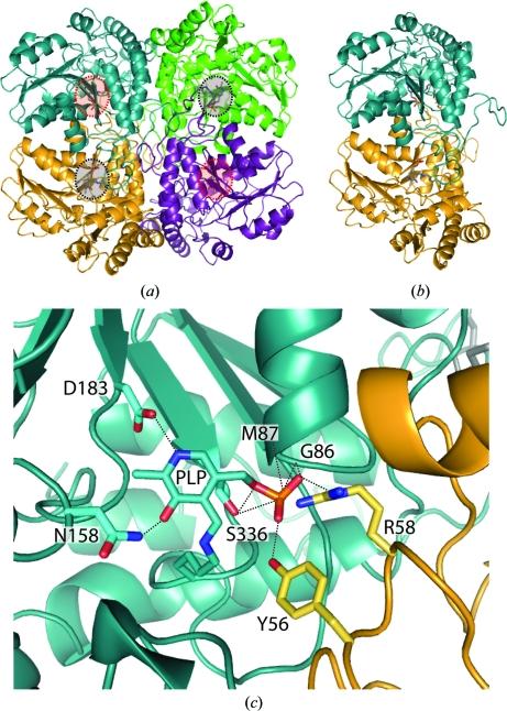 https://cdn.ncbi.nlm.nih.gov/pmc/blobs/4d91/3169418/38d44dea7dd5/f-67-01154-fig1.jpg