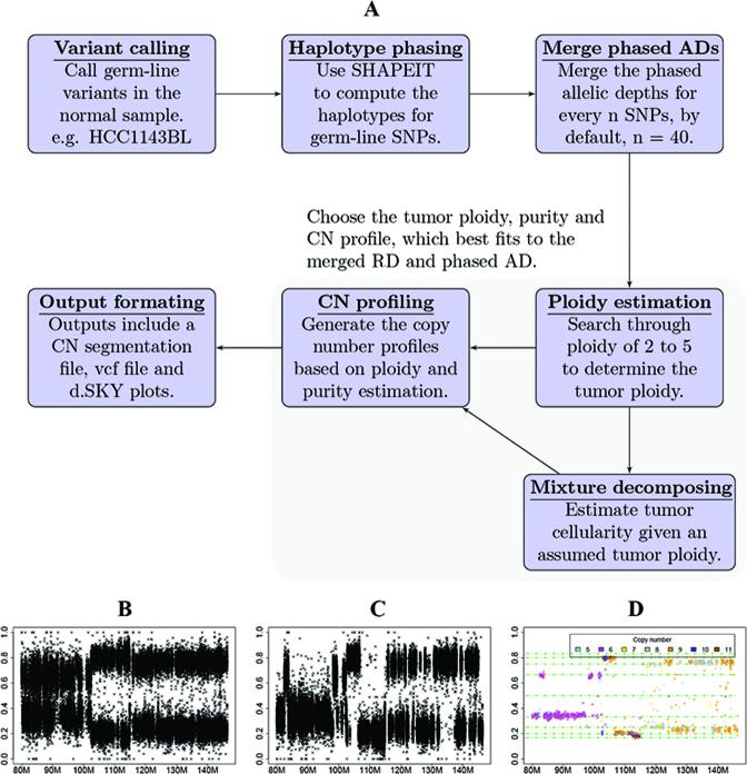 https://cdn.ncbi.nlm.nih.gov/pmc/blobs/4d92/5389684/40ec6315a371/gkw1086fig1.jpg