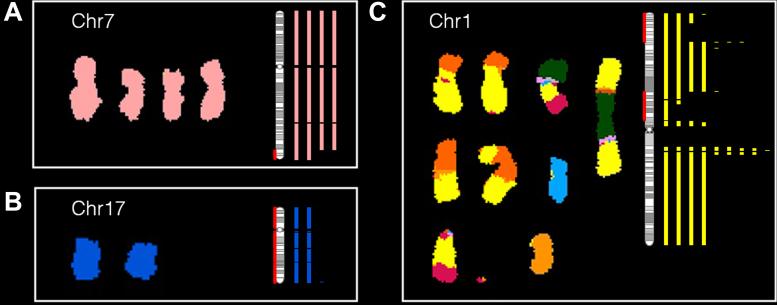https://cdn.ncbi.nlm.nih.gov/pmc/blobs/4d92/5389684/c5cfced61683/gkw1086fig3.jpg