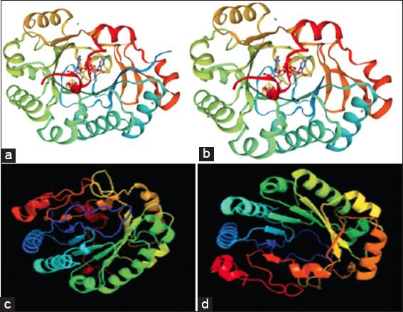 https://cdn.ncbi.nlm.nih.gov/pmc/blobs/4d92/9832909/5f0374392e51/IJHS-17-12-g004.jpg