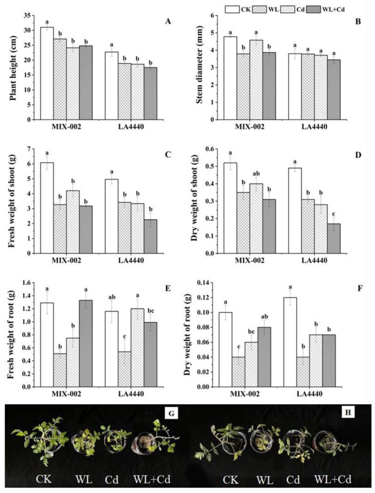 https://cdn.ncbi.nlm.nih.gov/pmc/blobs/4d93/10295130/a9b5231072f4/antioxidants-12-01205-g005.jpg