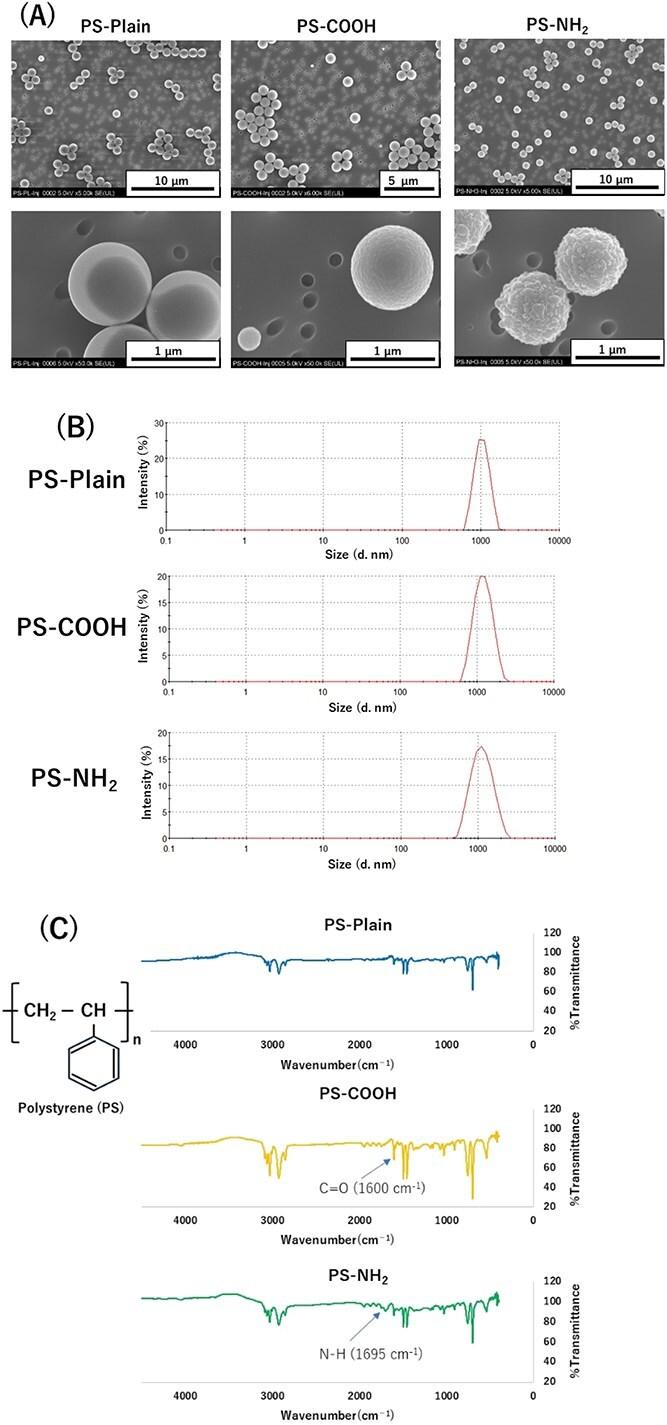 https://cdn.ncbi.nlm.nih.gov/pmc/blobs/4d93/11894927/844426459ada/uiaf006f1.jpg