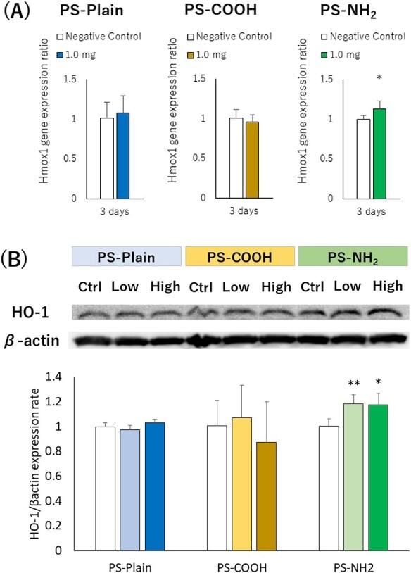 https://cdn.ncbi.nlm.nih.gov/pmc/blobs/4d93/11894927/f9e63e1eb8d6/uiaf006f5.jpg