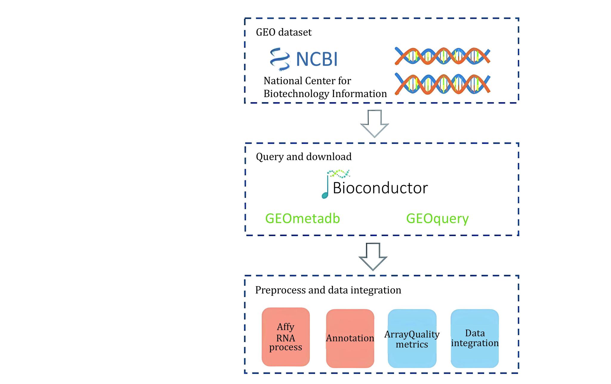 https://cdn.ncbi.nlm.nih.gov/pmc/blobs/4d95/10518520/22487ded21e0/br-9-2-57-Scheme2.jpg