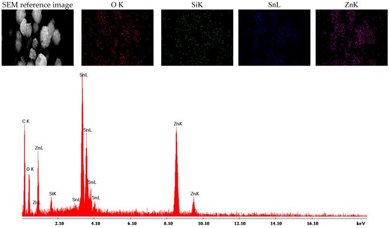 https://cdn.ncbi.nlm.nih.gov/pmc/blobs/4d96/11720676/3723b2a2515c/ijms-26-00194-g007.jpg