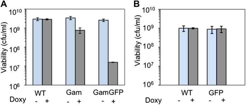 https://cdn.ncbi.nlm.nih.gov/pmc/blobs/4d97/3809393/af725c6db308/elife01222fs002.jpg